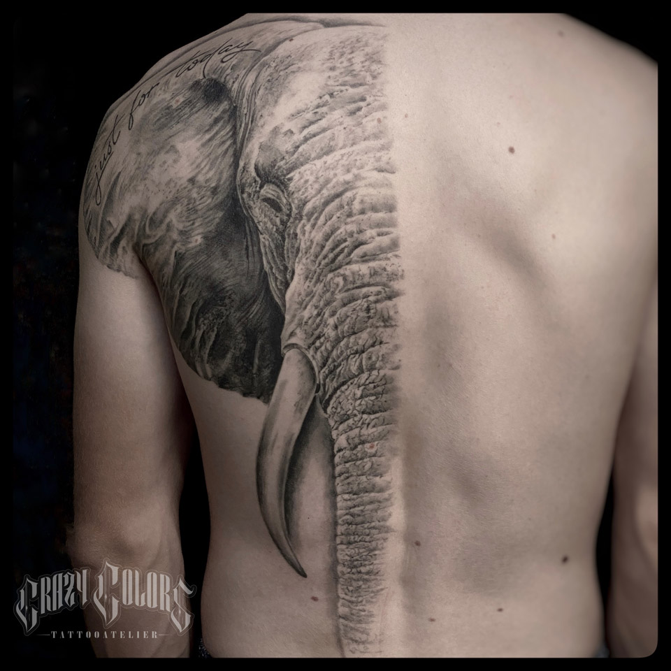 tl_files/cc/fotos/tattoo/2020 • Tattoo Rücken • Elefant abgeheilt.JPG
